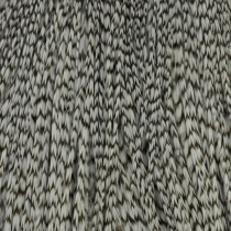 Whiting® Rooster Cape Silver - Grizzly dyed Golden Straw