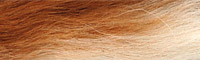 Bucktail - White