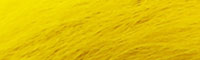 Bucktail - Yellow Fluo