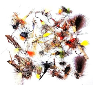 Fly Selection