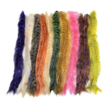 Devaux® Polar Brush Zebre