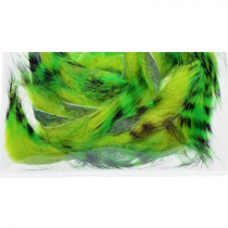 Devaux® Zonker Zebre - Green/Chartreuse