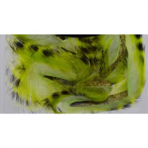 Devaux® Zonker Zebre - White/Chartreuse