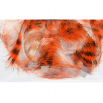 Devaux® Zonker Zebre - White/Orange