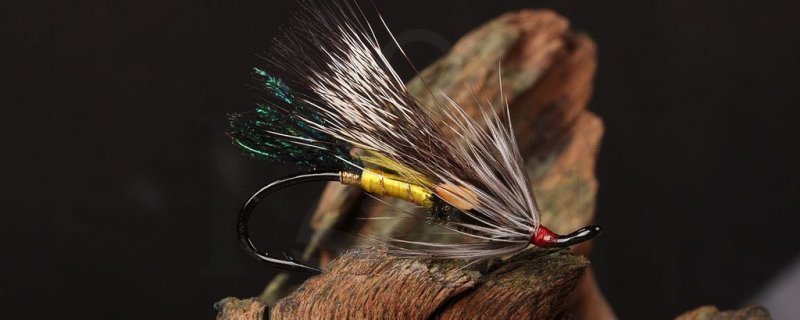 Ahrex Fly Hooks – Fly and Flies