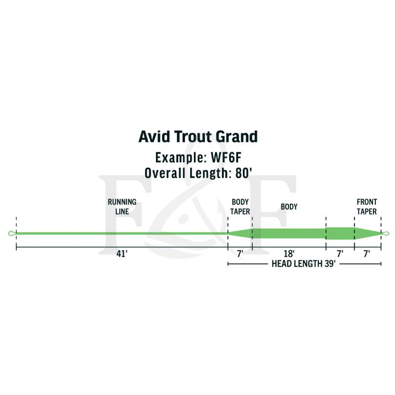 RIO® Avid Trout Grand, RIO Fly Lines - Fly and Flies