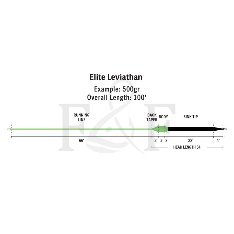 RIO Elite Leviathan Fly Line – Guide Flyfishing