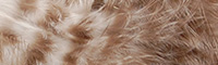 Wapsi® Grizzly Marabou - Natural