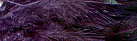 Wapsi® Grizzly Marabou - Purple