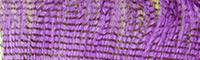 JMC® Autruche Zébrée - Purple