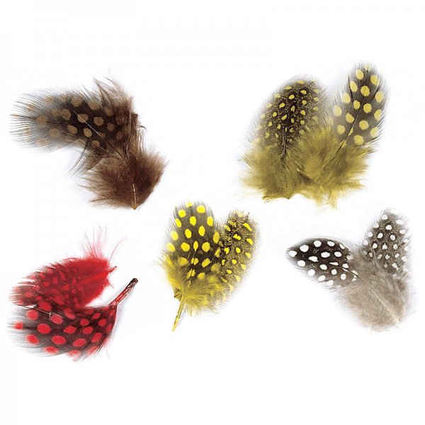 JMC® Vulturine Feathers