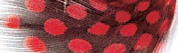 JMC® Vulturine Feathers - Red