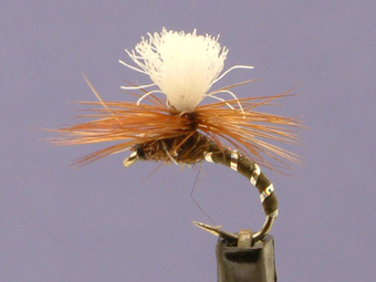BROWN KLINKHAMMER Dry Trout Fishing Flies various options by Dragonflies