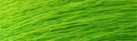 Pelo de Veado - Chartreuse Fluo
