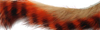Rabbit Strips Grizzly - Tan/orange