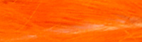 Rabbit Strips - Orange Fluo