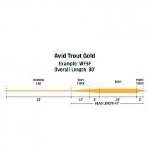 RIO® Avid Trout Gold