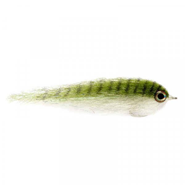 Salty Baitfish Anchovy