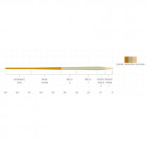 Scientific Anglers® Amplitude Smooth Trout Expert