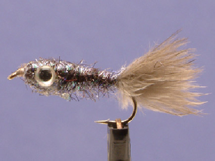 Silver Flash Minnow
