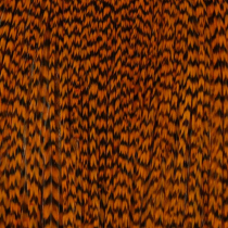 Whiting® Pro Grade Cape - Grizzly dyed Burnt Orange