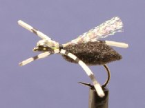 Winged Foam Bug