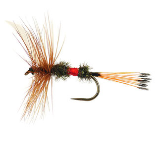 trout flies