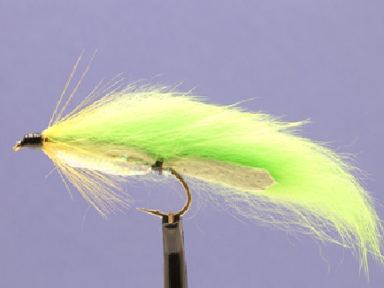 Zonker Chartreuse/Pearl